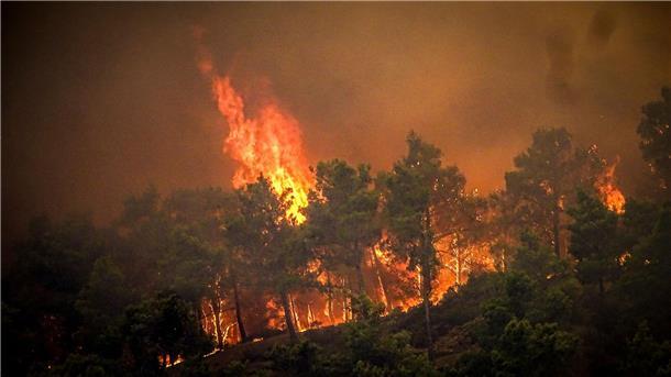 Waldbrände auf Rhodos toben weiter - Tausende fliehen Flammen lodern auf der griechischen Insel Rhodos.