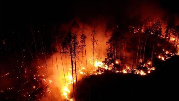 Extremwetter-Jahr: Von Wassermassen und Wirbelstürmen Flammen schlagen im Juni in einem Waldstück nahe Jüterbog in die Höhe.