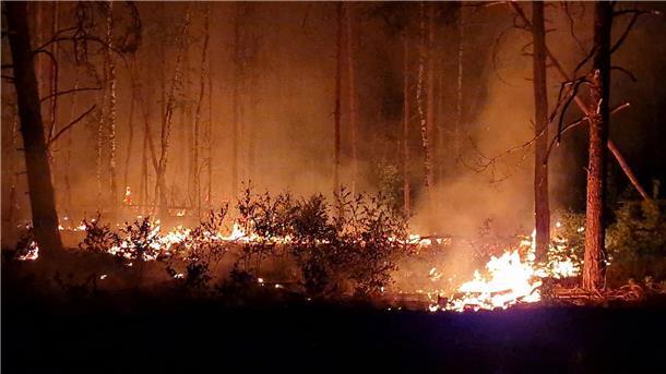 Flammen schlagen in die Höhe und Rauch steigt auf bei Nacht in einem Waldstück.