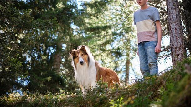 Mit Lassie nach Südtirol Flo (Nico Marischka) will sich auch in den Ferien nicht von Lassie trennen.
