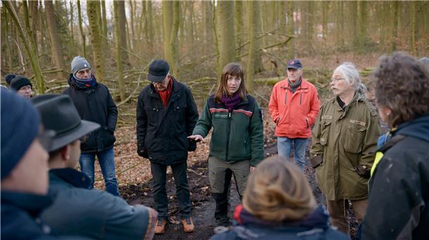 Försterin Lina Richardt (Mitte) klärt über die Baumfällarbeiten im Wasserwerkswald Leherheide auf.