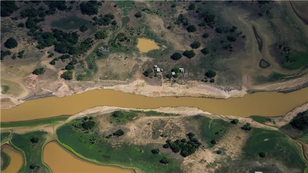 Amazonasgebiet ächzt unter Jahrhundertdürre Folgen der Dürre und Hitze: Trockene Flächen sind im Regenwaldgebiet bei Parintins zu sehen.