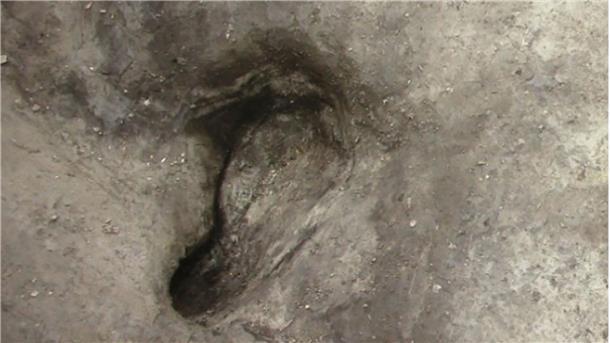Forscher entdecken älteste bekannte Urmensch-Fußspuren Forscher haben die vermutlich ältesten bekannten Fußspuren von Urmenschen in Deutschland entdeckt.