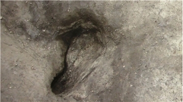 Forscher haben die vermutlich ältesten bekannten Fußspuren von Urmenschen in Deutschland entdeckt.