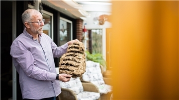 Frank Krein zeigt ein verlassenes Hornissennest. Diese Insekten sind wahre Baumeister. Sie bauen ihre kunstvollen Nester aus zerkleinerten, eingespeichelten Holzfasern.