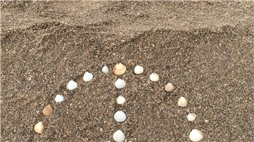 Muschelbogen
