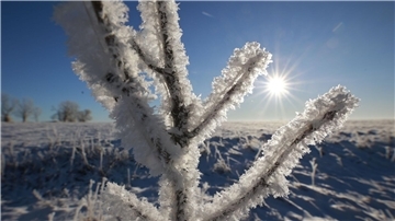 Frostiges Wetter im Oberharz bei Elbingerode.