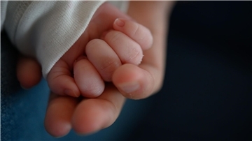 Eine Babyhand liegt in einer Erwachsenenhand.
