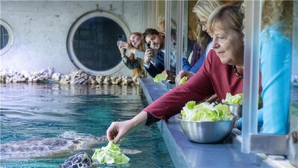 Früher Bundeskanzlerin und nun Schildkröten-Fütterin. 