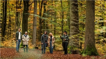 Führung durch den Friedwald.
