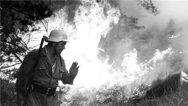 Viel gelernt aus Waldbrandkatastrophe in Lüneburger Heide Fünf Feuerwehrleute starben, Tausende Hektar Wald brannten: 1975 richtete die Waldbrandkatastrophe in der Lüneburger Heide verheerende Schäden an. (Archivfoto)