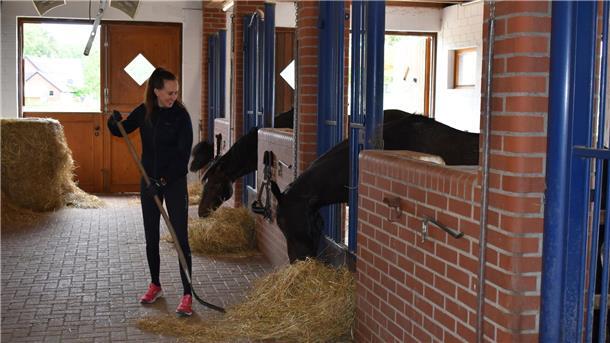 Fünf Pferde stehen direkt am Haus in einem Offenstall: Pony Cody, Nachwuchspferd Jack, Valoo und die Showpferde von Bruder Matthes - Dealer und Voody.
