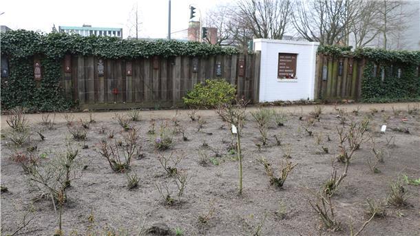 Für die ermordeten Kinder wurde am Bullenhuser Damm ein Rosengarten angelegt.