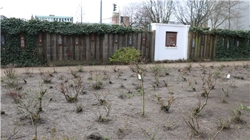 Für die ermordeten Kinder wurde am Bullenhuser Damm ein Rosengarten angelegt.