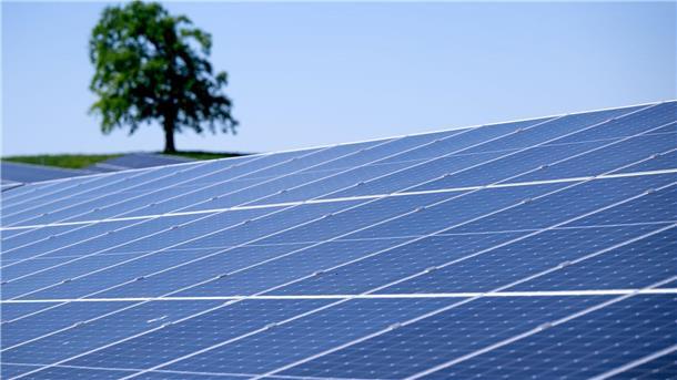 Eine Karte mit den Potenzialflächen für Solarparks.