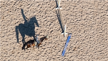 Das Foto zeigt einen Reitplatz