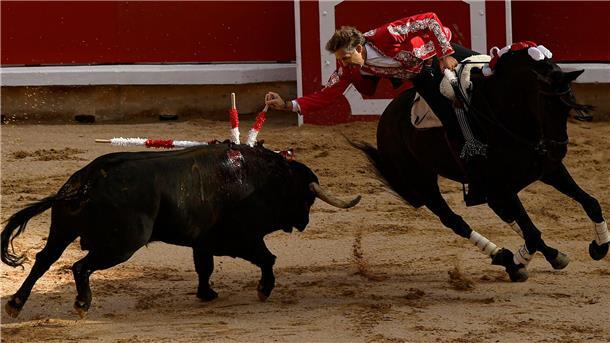 Brummschädel und Prellungen bei Stierhatz in Pamplona Für die Stiere gibt es kein Happy End: Sie sterben nach der Hatz in der Stierkampfarena.