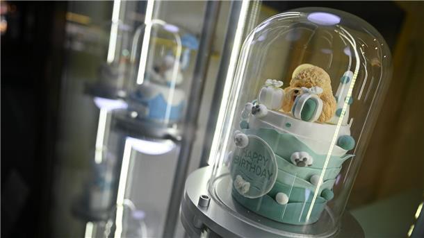 Vierbeiner statt Kinder - Kurioses für Chinas Haustiere Für Haustiere kann man in China auch maßgeschneiderte Torten zu Geburtstagen oder gar Hochzeiten anfertigen lassen.