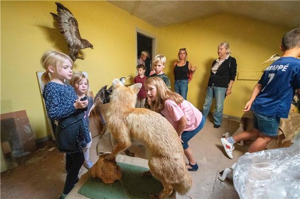 Fundgrube: Bei der Führung durchs Dachgeschoss wagt die siebenjährige Jella (in ...