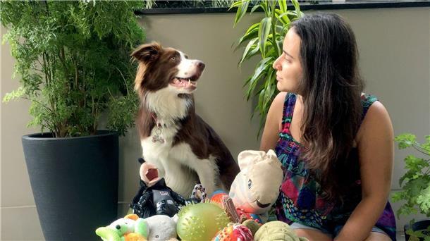 Border Collies können sich Begriffe zwei Jahre lang merken Gaia trainiert mit ihrer Besitzerin oft stundenlang.