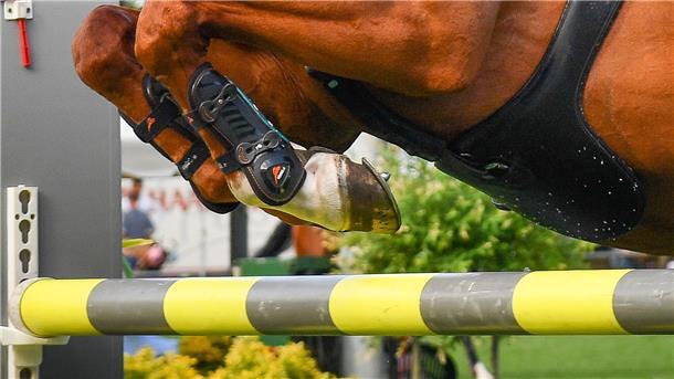 Pferdebeine über beim Überspringen eines Sprunghindernisses.