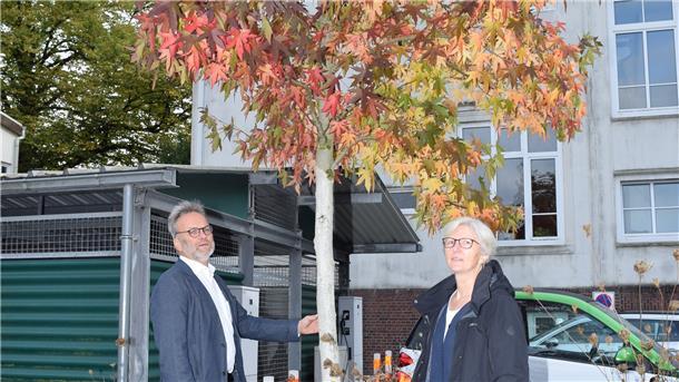 Gartenbauamtsleiter Thomas Reinicke und Landschaftsarchitektin Liselotte Gundermann halten Amberbäume für geeignete Straßenbäume.