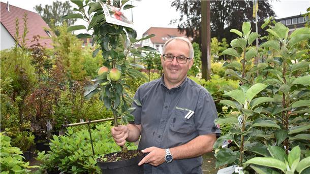 Gartenexperte Michael Meyer rät bei kleinen Gärten zum Säulenapfelbaum. Seine Früchte wachsen direkt am Stamm.