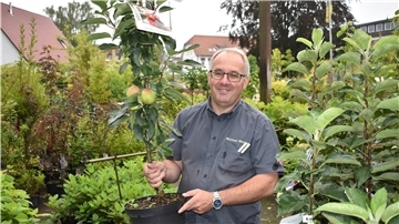 Gartenexperte Michael Meyer rät bei kleinen Gärten zum Säulenapfelbaum. Seine Früchte wachsen direkt am Stamm.