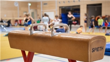 Turnpferd im Vordergrund, im Hintergrund unscharf turnende Kinder