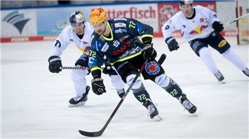 Pinguins-Spieler Phillip Bruggisser in Aktion.