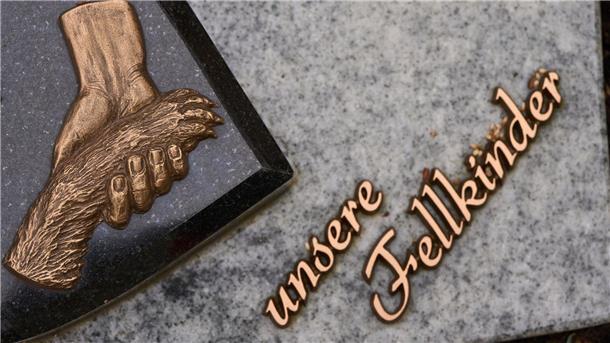 Gemeinsame Bestattung von Mensch und Haustier: Bremen schafft neue Möglichkeiten für letzte Ruhestätten, die Mensch und Tier auch im Tod verbinden.