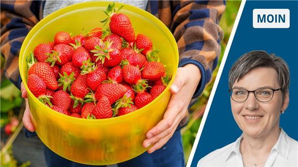 Collage Erdbeeren/Portrait Andrea Vogt