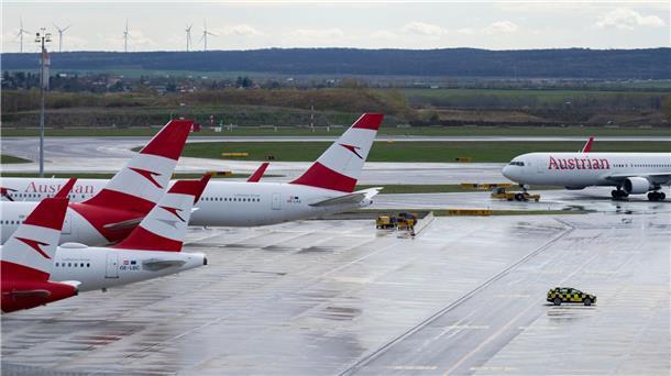 Flugzeug der Austrian Airlines verliert Nase in Hagelsturm Geparkte Flugzeuge der Austrian Airlines (AUA) am Flughafen Wien-Schwechat (Archivbild).