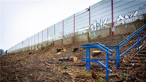 Südschnellweg-Ausbau: Bündnis steigt aus Expertengruppe aus Gerodet ist eine Fläche unterhalb vom Südschnellweg.
