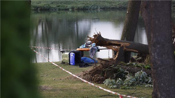 Gestürtzte Bäume liegen am St. Andräer See in Kärnten in Österreich. Bei einem schweren Unwetter sind zwei Kinder von umstürzenden Bäumen erschlagen worden.