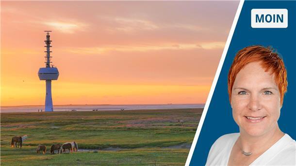 Insel Neuwerk: Warum ganz NRW hier das Cuxland hier hinter sich lässt Blick auf einen Sonnenuntergang  mit Pferden.