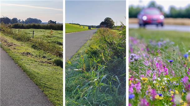 Golfplatzähnliche Seitenränder (links) ade: Dort, wo es die Verkehrssicherungspflichten erlauben, will die Gemeinde Wurster Nordseeküste Straßenränder künftig seltener und wechselweise mähen. Blühende Straßenränder (rechts) sind vorerst aber noch eine Vision.