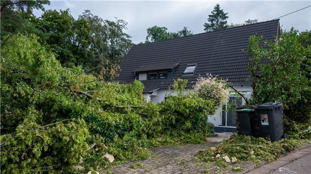 Große Äste liegen am Tag nach dem Sturm in Asweiler im Saarland am Boden.
