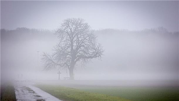 Grüne statt weiße Weihnachten - Starker Regen im Süden Grün statt weiß: An Weihnachten soll dem DWD zufolge auch in diesem Jahr kein Schnee fallen.