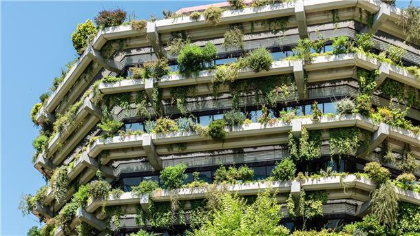 Große Stadt, kleiner Fußabdruck: Wie man umweltbewusst in einer Metropole lebt Grüne Gebäudefassade