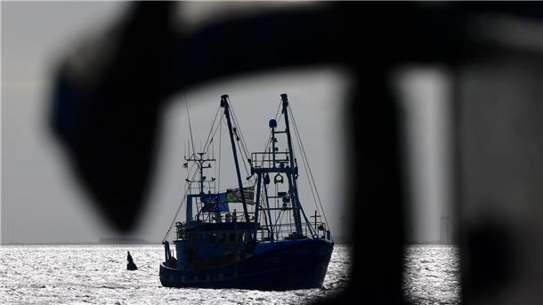 BUND klagt gegen Fangerlaubnis in Nordsee-Schutzgebiet Grundschleppnetze sind Fanggeräte, die für das Fischen am Meeresboden oder in Bodennähe konzipiert sind. (Symbolbild)
