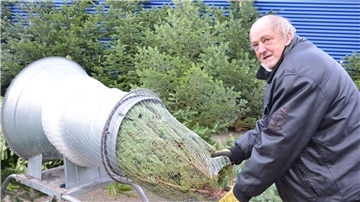 Günter Greiser netzt einen Tannenbaum ein, um ihn zu verkaufen. Seit 20 Jahren ist der Zevener im Geschäft. 