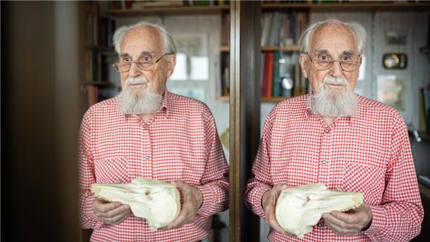 Günther Behrmann mit dem Schädel eines Schweinswals, der vor rund 20 Jahren präpariert wurde.