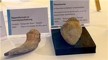 Gut erhaltene Fundstücke prägen die Ausstellung.