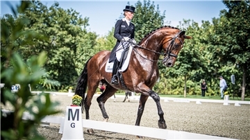 Gutes Reiten oder die Bewegungen des Pferdes - was ist entscheidend für gute Wertnoten?