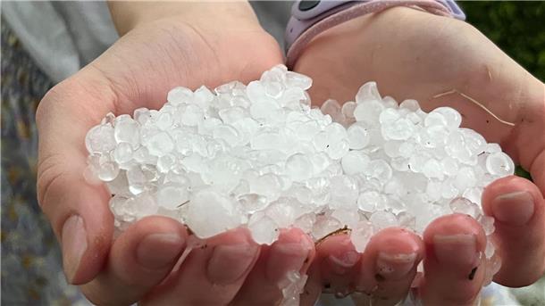 Rückversicherer: In Deutschland steigt das Hagelrisiko Hagelkörner nach einem Unwetter.