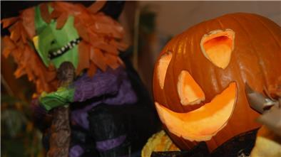 Halloween lässt grüßen. Der Kürbis kann aber mehr als nur erschrecken.
