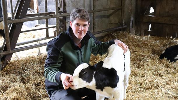 Mann im Kuhstall mit Stroh und Kalb. Hannes Tramm kümmert sich um ein Kalb.