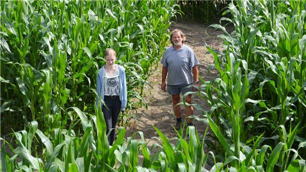 Hans-Heinrich Heins mit Nachbarstochter und Helferin Jeanette Eichhorn auf einem der Wege durchs Maislabyrinth. Am 25. Juli um 13 Uhr eröffnet Heins die Saison, die bis zum 4. Oktober andauern soll.