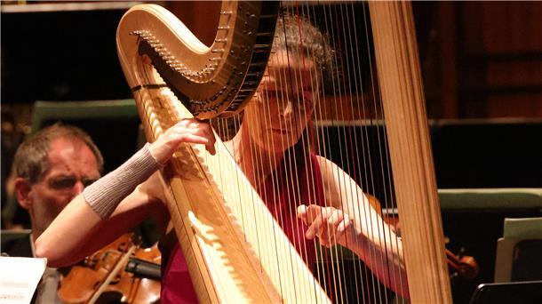 Harfenistin Silke Aichhorn zeigte gekonnt die Vielseitigkeit ihres Instruments.